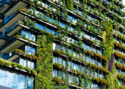 ogrody na dachu i zieleń na budynkach